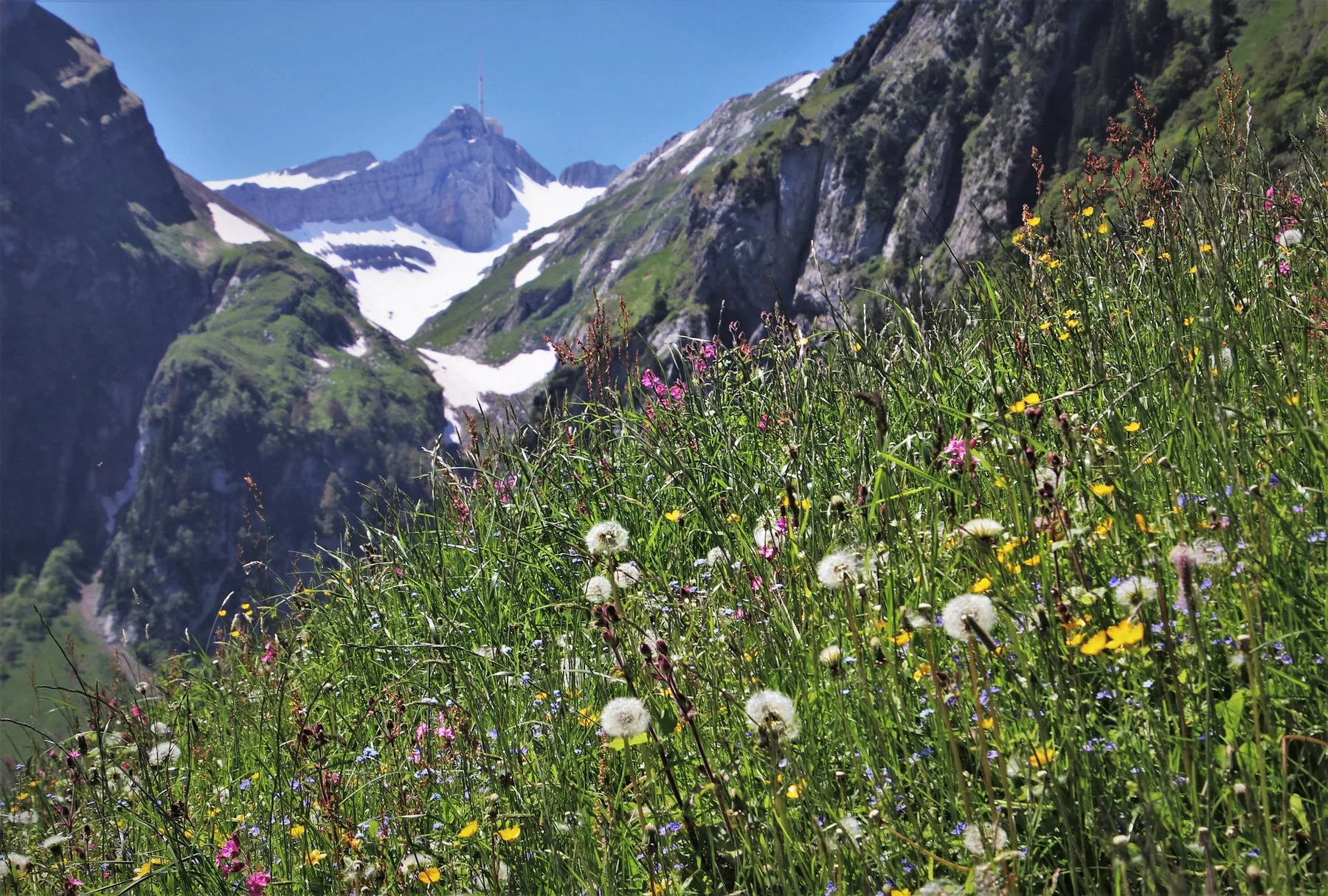 WANDERN